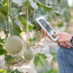 Smart Agriculture