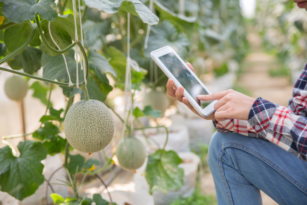 Smart Agriculture